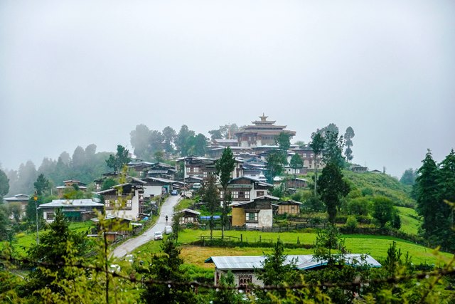 Day 03: Punakha to Gangtey valley: visit the gangtel valley