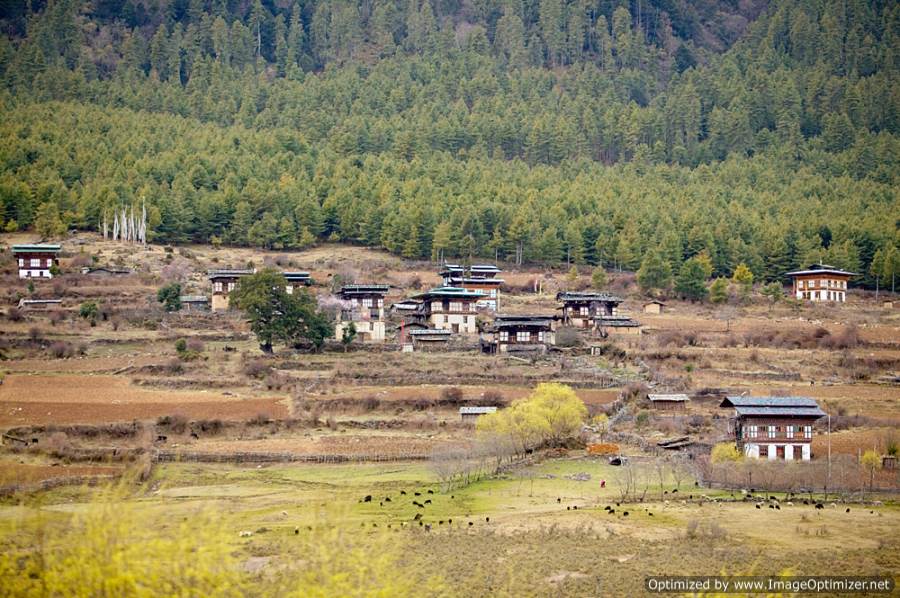 DAY 5 of Bhutan Tour from Punakha to Haa Valley: 