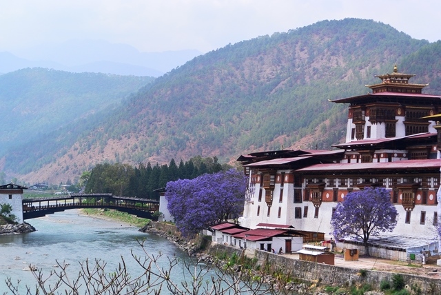 Day 11. Thimphu- Punakha: 