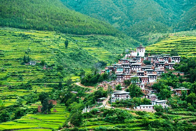 Day 02: Punakha Helicopter Tour: 
